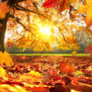 How to keep your home safe this Autumn